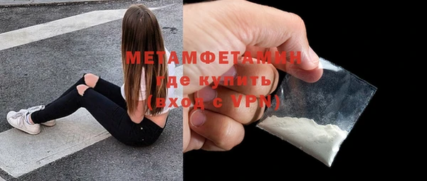 прущие грибы Карталы