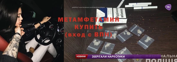 прущие грибы Карталы