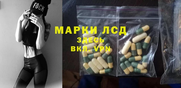мдпв Каменногорск