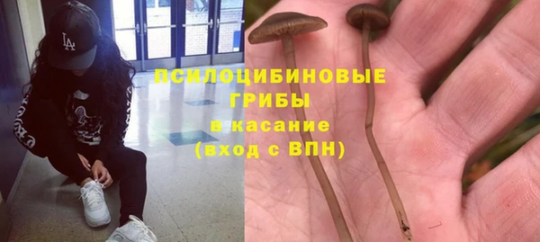 прущие грибы Карталы