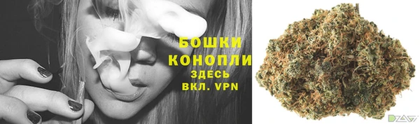 дурь Касимов