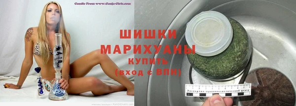 прущие грибы Карталы