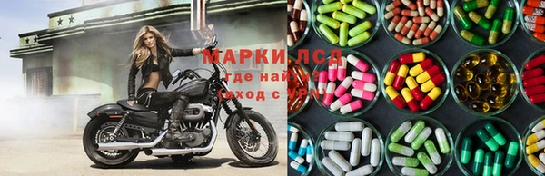 прущие грибы Карталы