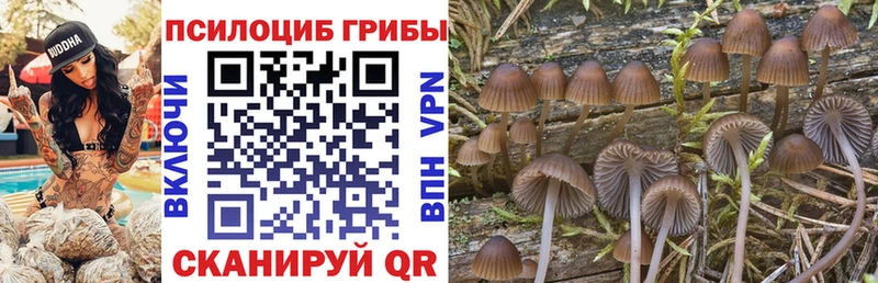 Купить где Котельники Псилоцибиновые грибы мухоморы